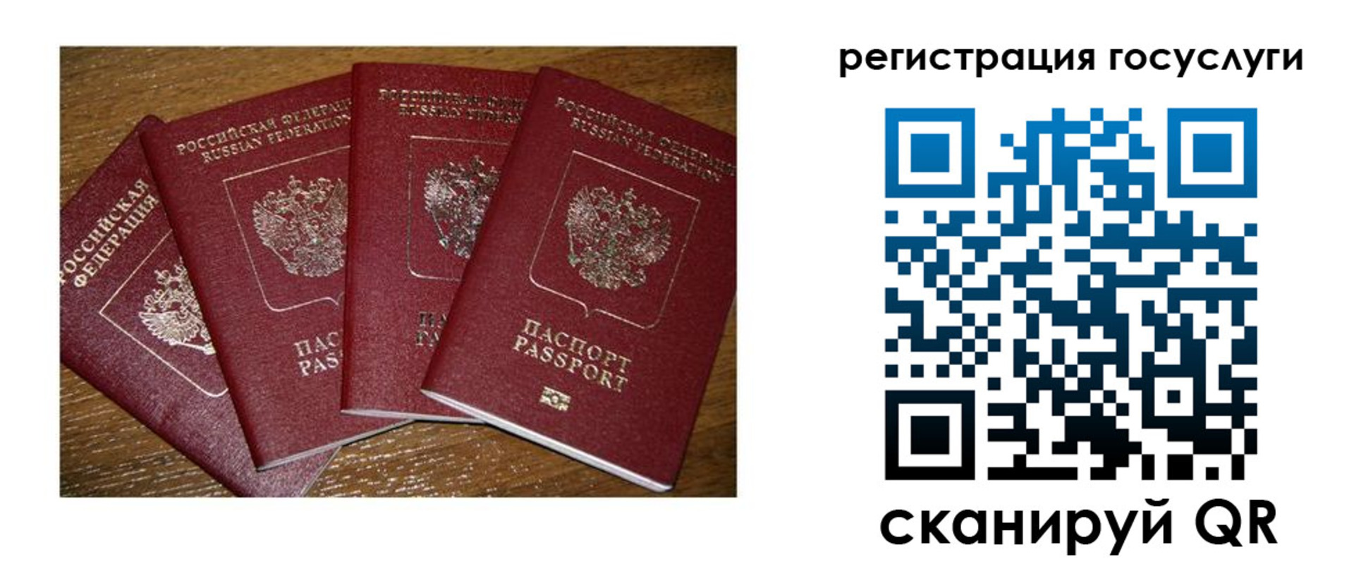временная регистрация гарантия в Белокурихе